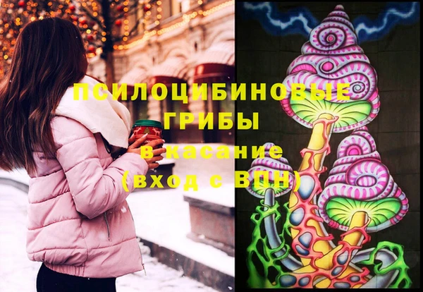 сатива Волоколамск