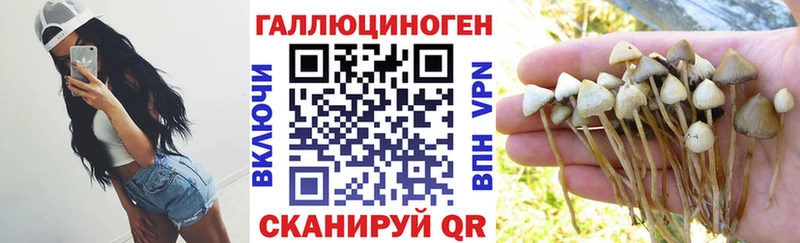 Галлюциногенные грибы мухоморы  Купить  Новоузенск 