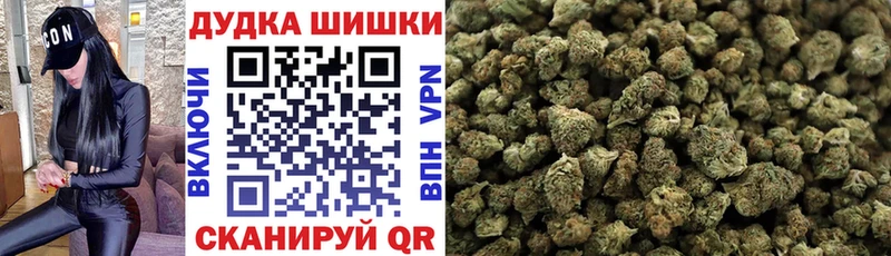 Шишки марихуана марихуана  Купить закладки  Новоузенск 